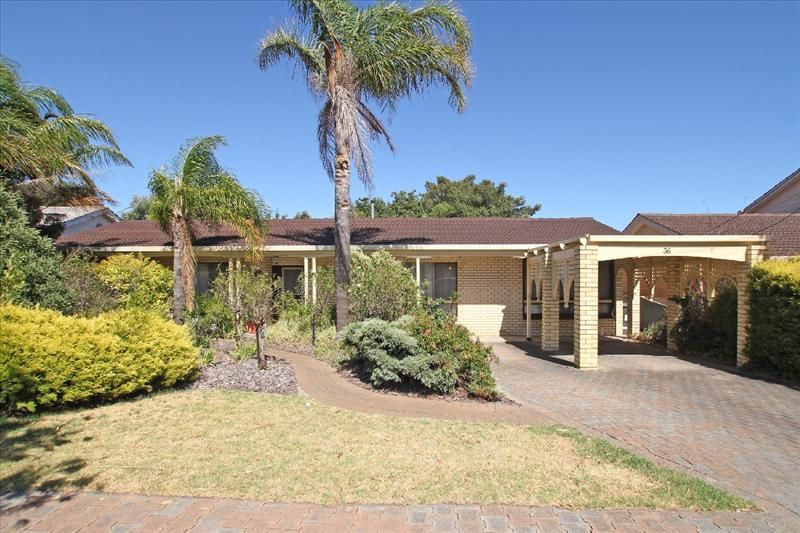 36 Sargent Parade, Bellevue Heights SA 5050, Image 0