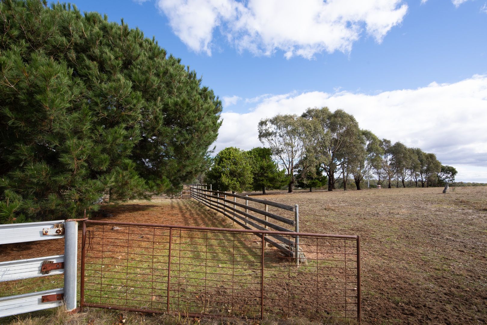 14 Patons Road, Axe Creek VIC 3551, Image 1