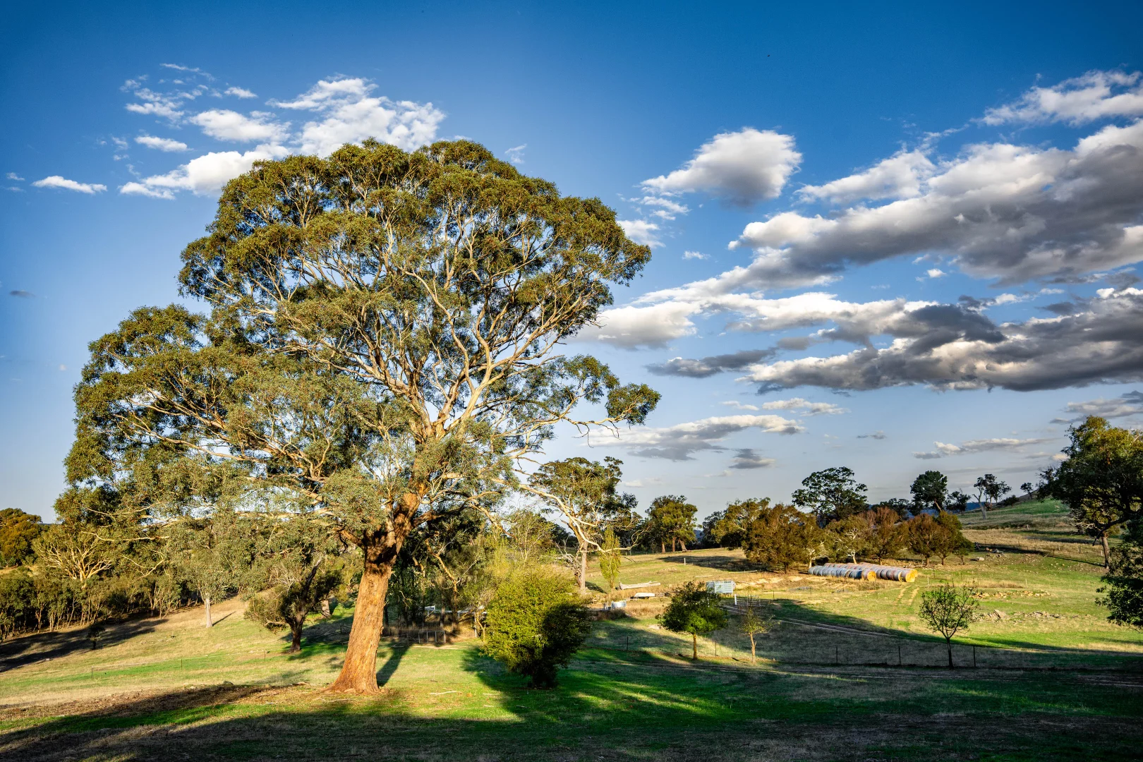 Additional image 24 of "Savannah Springs" 294 Rolfe Road, Wallaroo NSW 2618