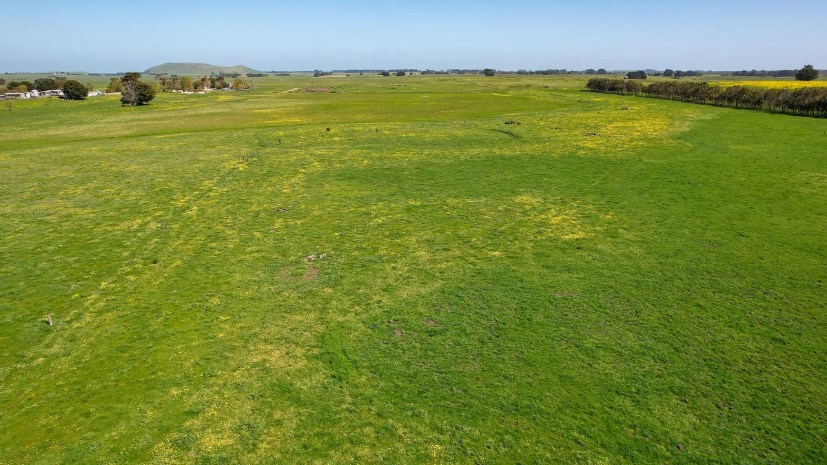 Additional image 37 of 170 Allans Road, Framlingham VIC 3265