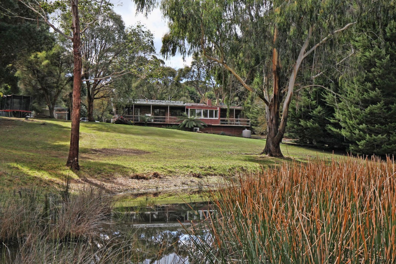 66 Forest Road, Newham VIC 3442 House for Sale Domain