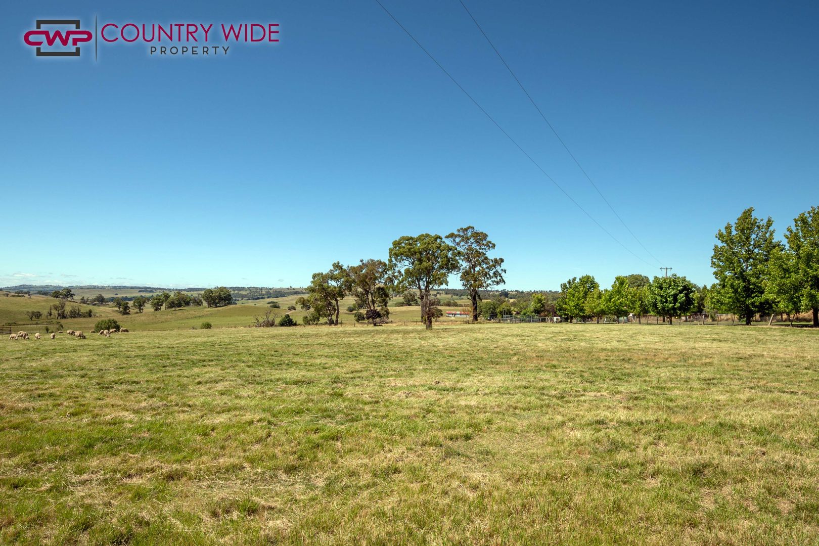 40 Elm Street, Guyra NSW 2365, Image 2