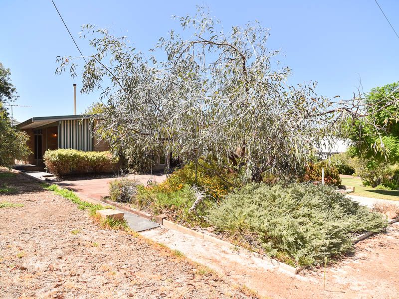 13 Sanderson Street, Embleton WA 6062, Image 2