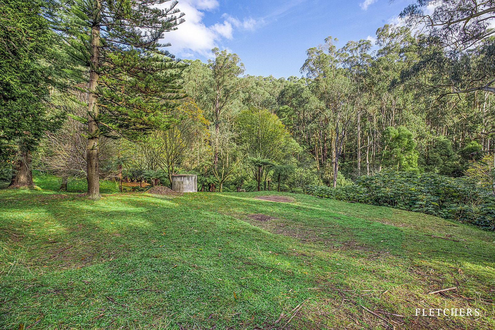 1589 Mountain Highway, Sassafras VIC 3787, Image 1