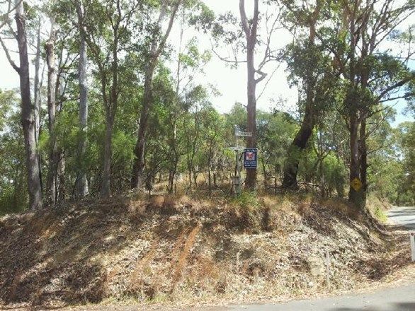 281 Congarinni Road, CONGARINNI NSW 2447, Image 2