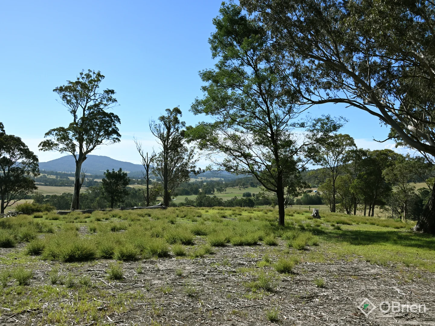 Image 9