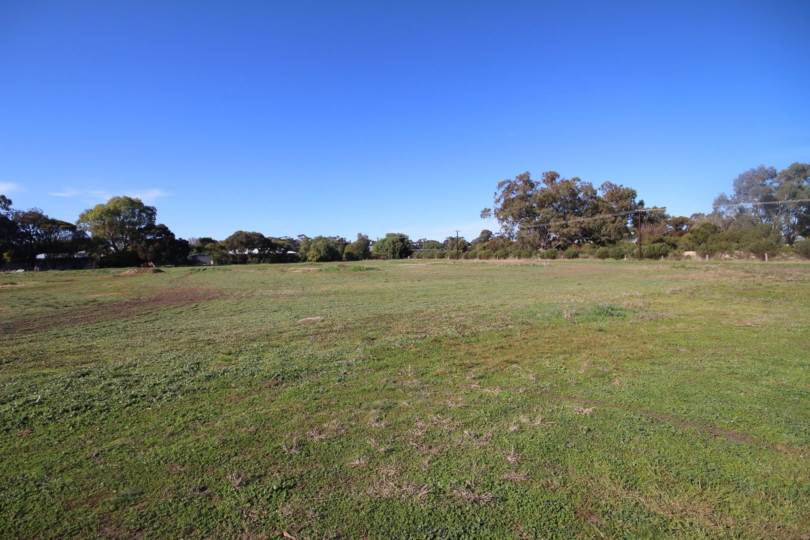 Lot 133 & 134 Green Street, Bordertown SA 5268, Image 1