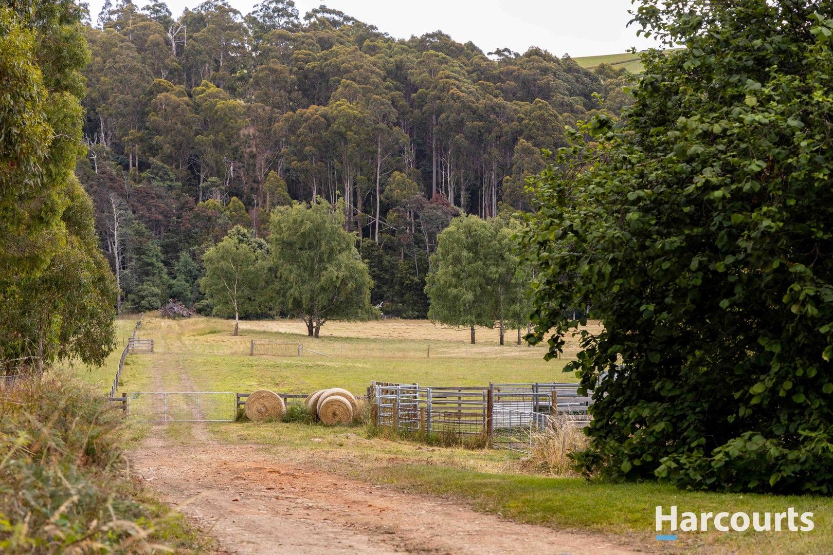 3257 Sheffield Road, Railton TAS 7305, Image 0