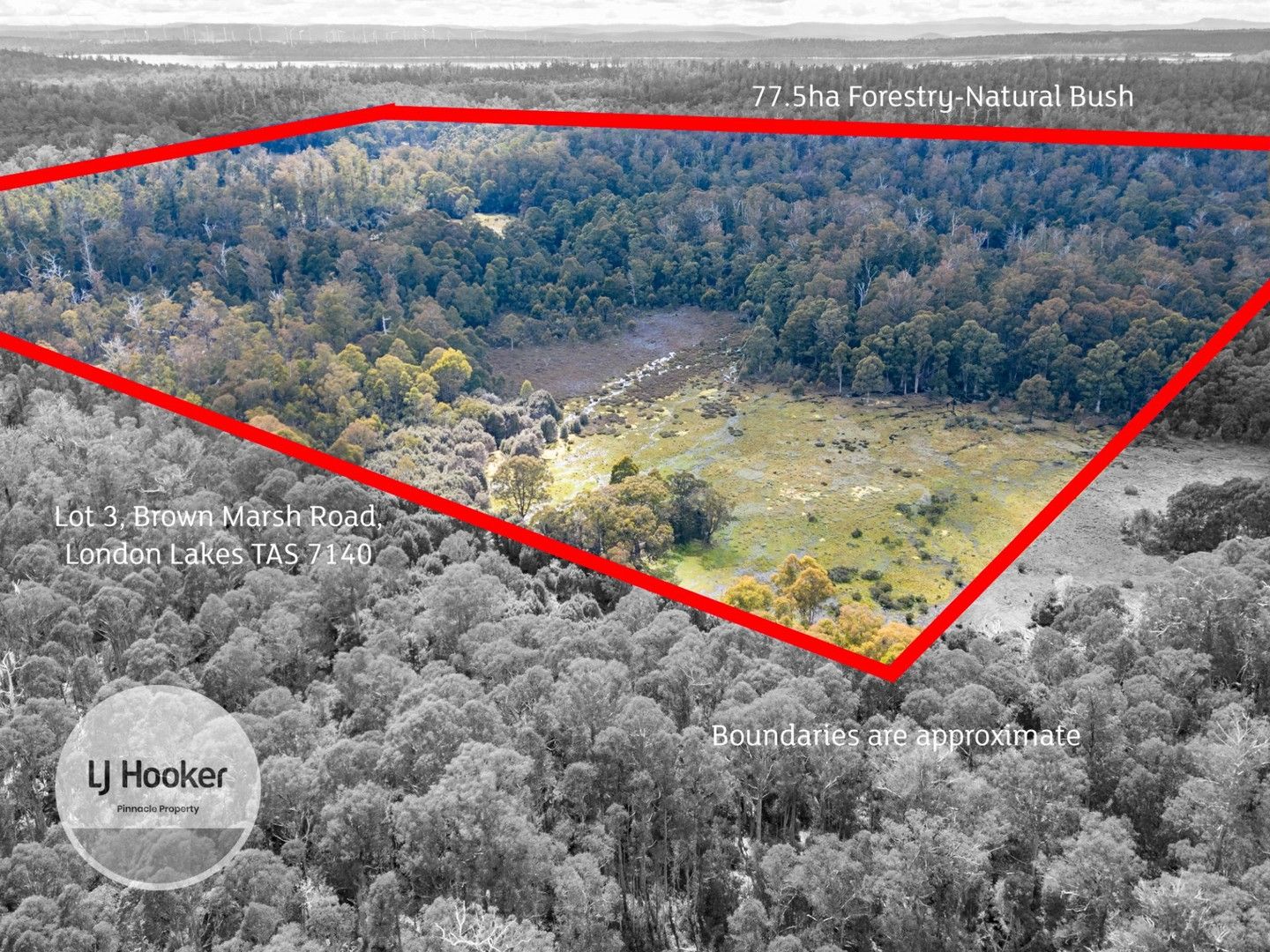 Lot 3 Brown Marsh Road, London Lakes TAS 7140, Image 0