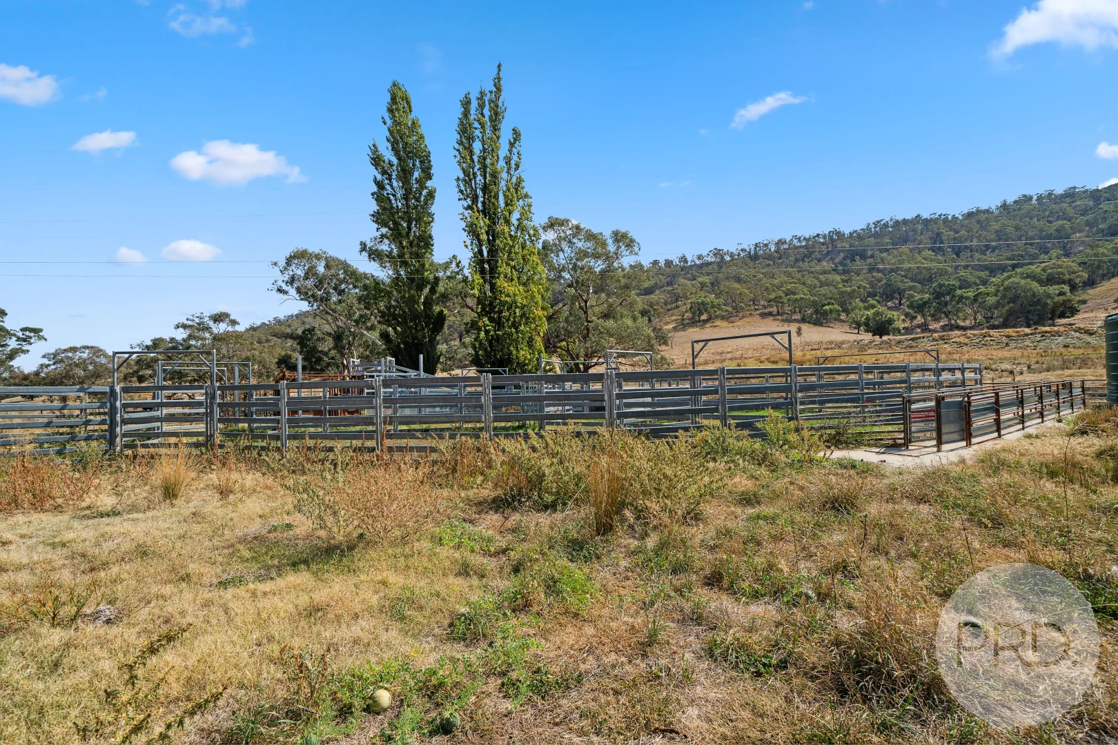 Image 15
