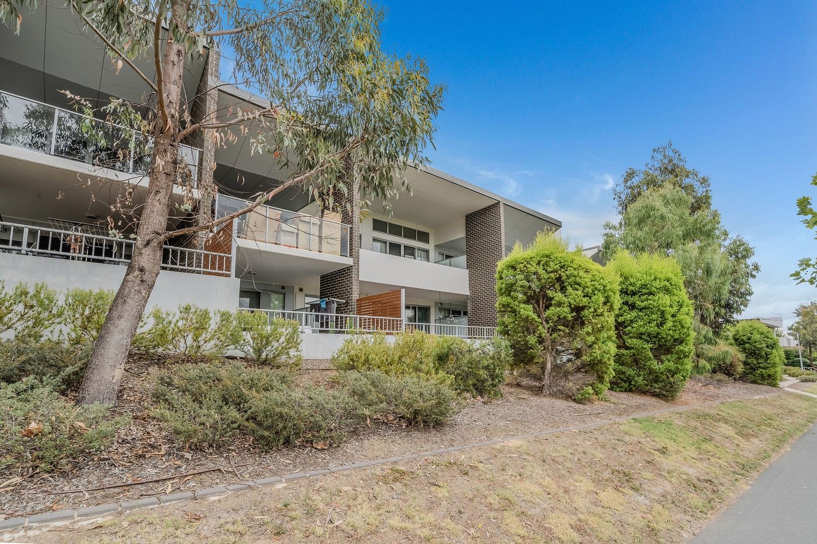 59/47 Mowatt Street, Queanbeyan NSW 2620 Apartment For Rent Domain