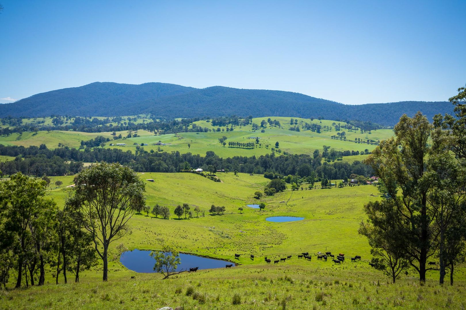 Lot 123 'Foster Paddock' Princes Hwy, Bega NSW 2550, Image 1