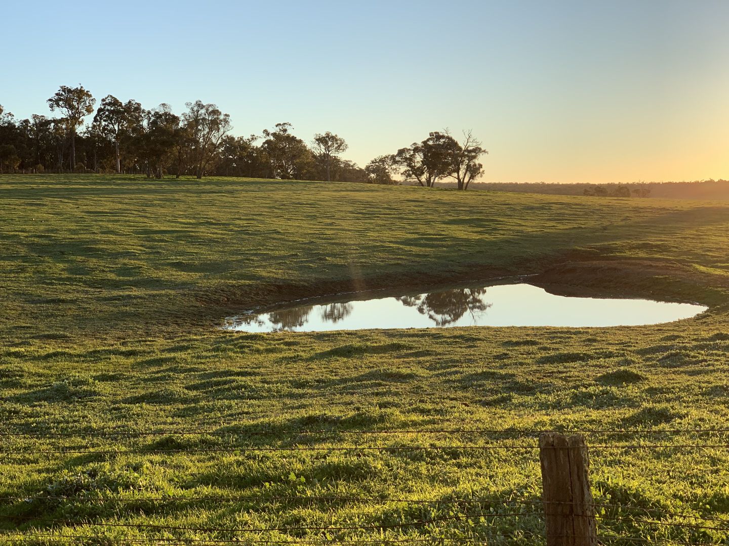 Lot 11724 Junction Road, Manjimup WA 6258, Image 2