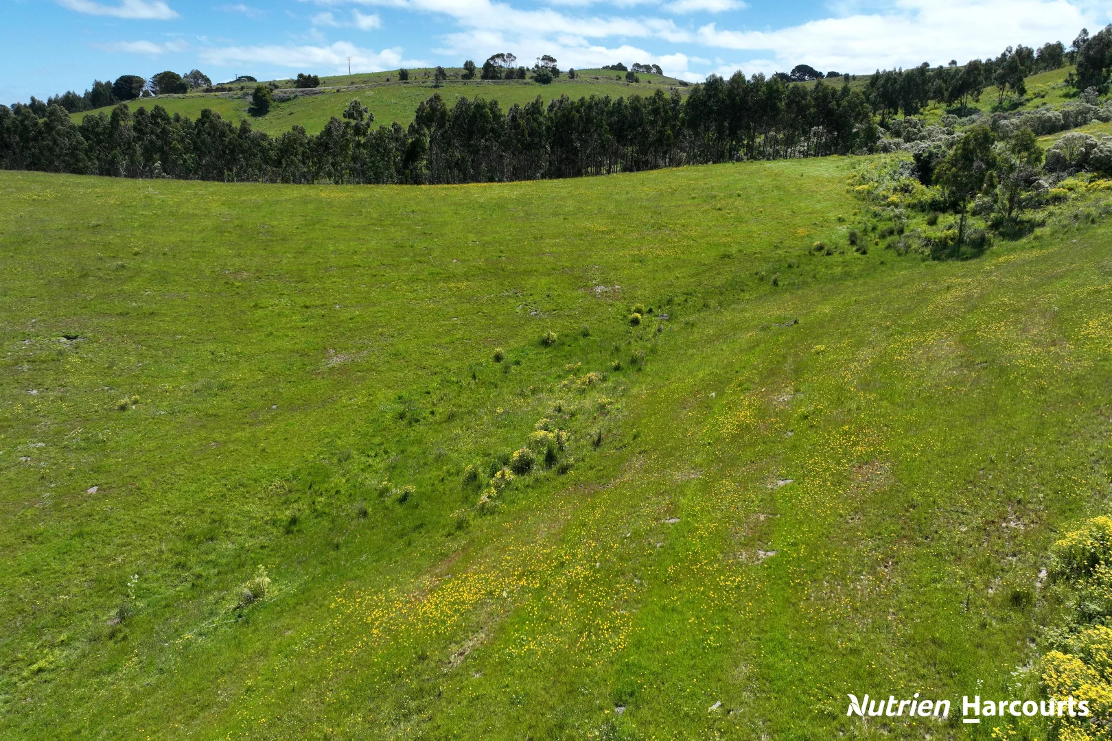 Additional image 12 of 2035 Woorarra East Road, Woorarra East VIC 3962