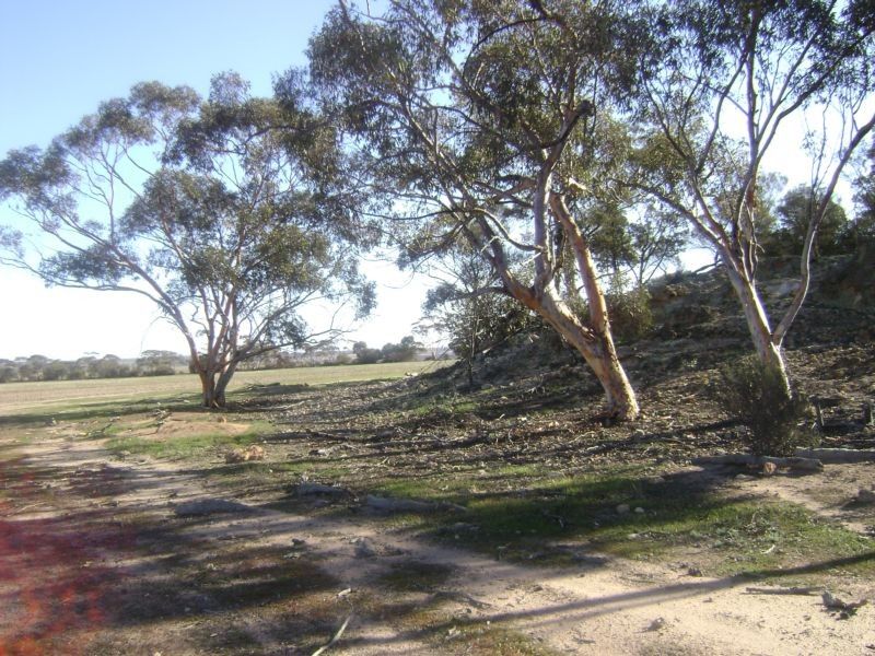 26659 English Road, Nungarin WA 6490, Image 2