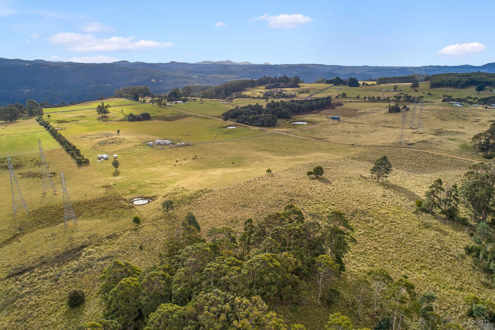 48 Richards Farm Road, Staverton TAS 7306, Image 2