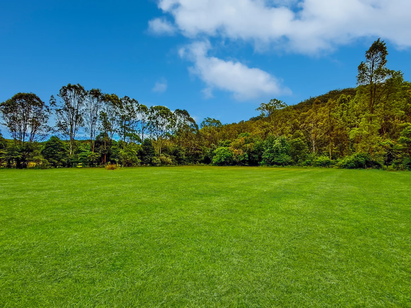 Additional image 4 of Lot 12 & 13 Narone Creek Road, Wollombi NSW 2325