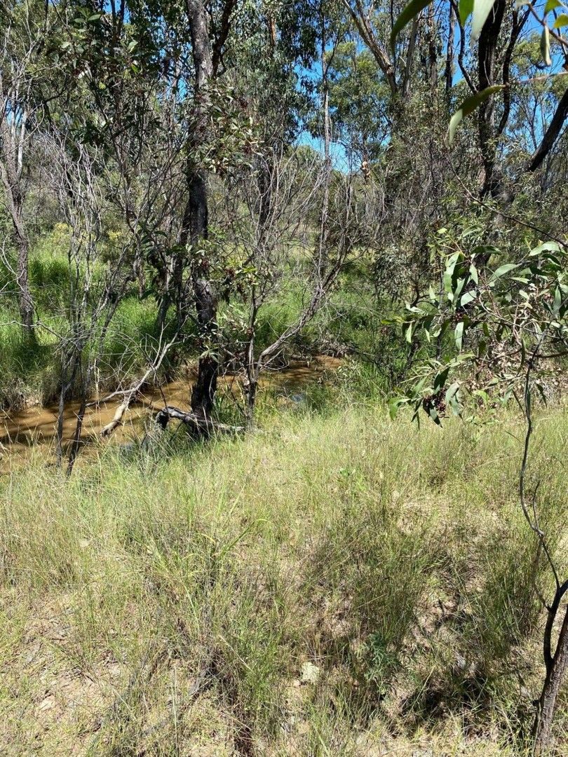 Rural in Lot 17 Humbug Road, TARA QLD, 4421