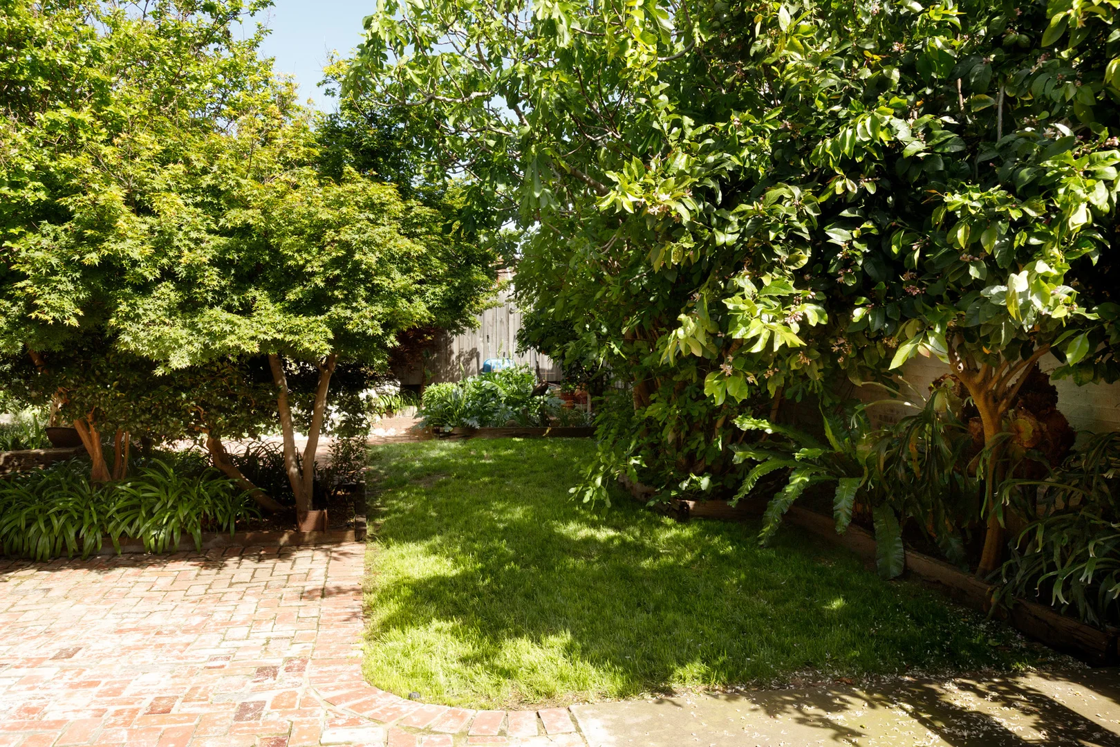 Image 23