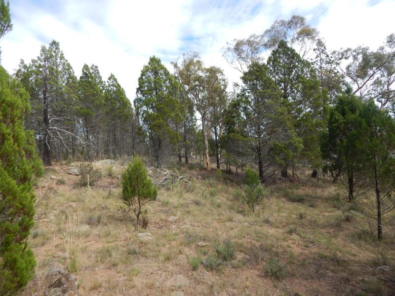 Lot 13 Woodlands Drive, Binjura NSW 2630, Image 0