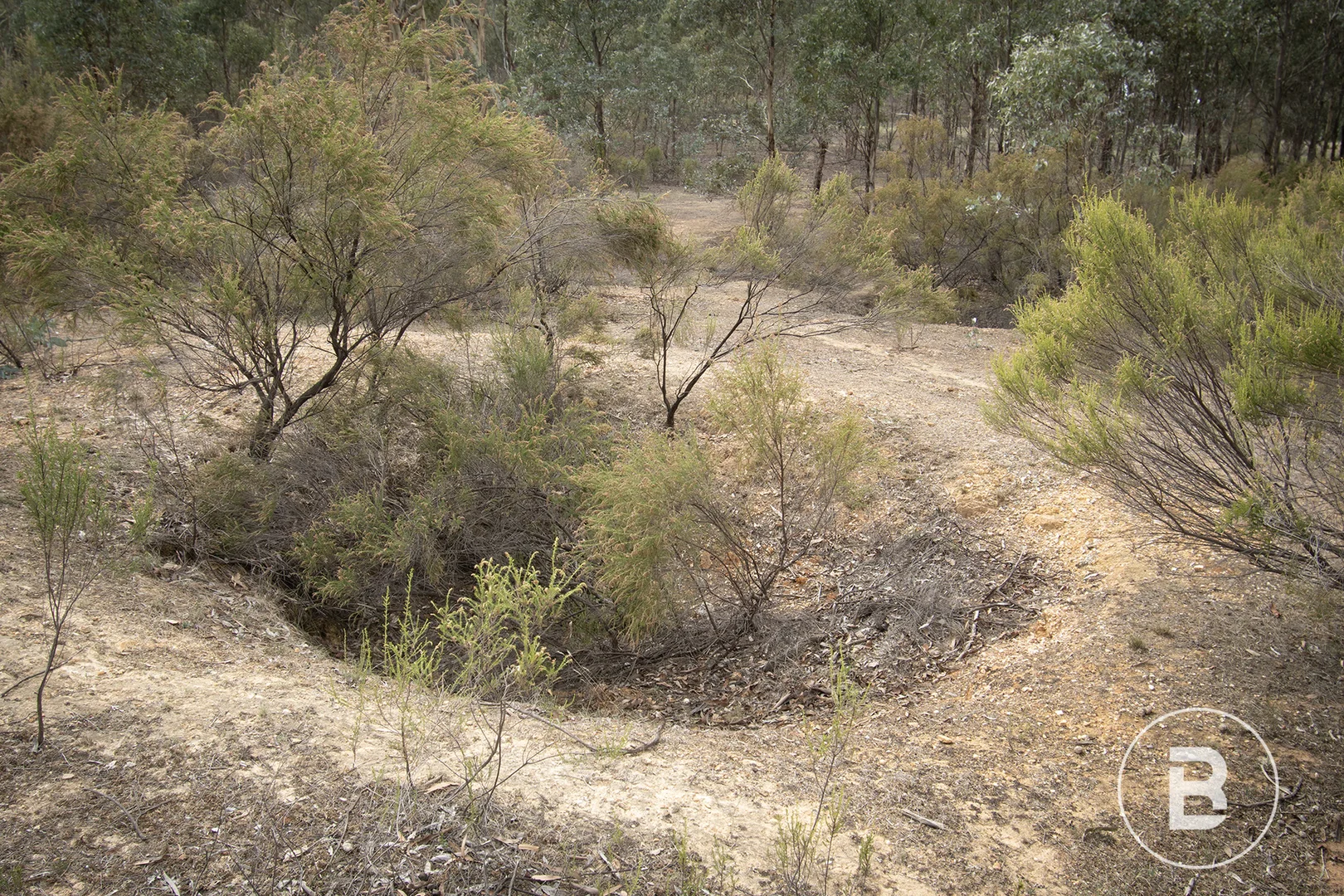 Additional image 9 of 1/557 Majorca Road, Maryborough VIC 3465