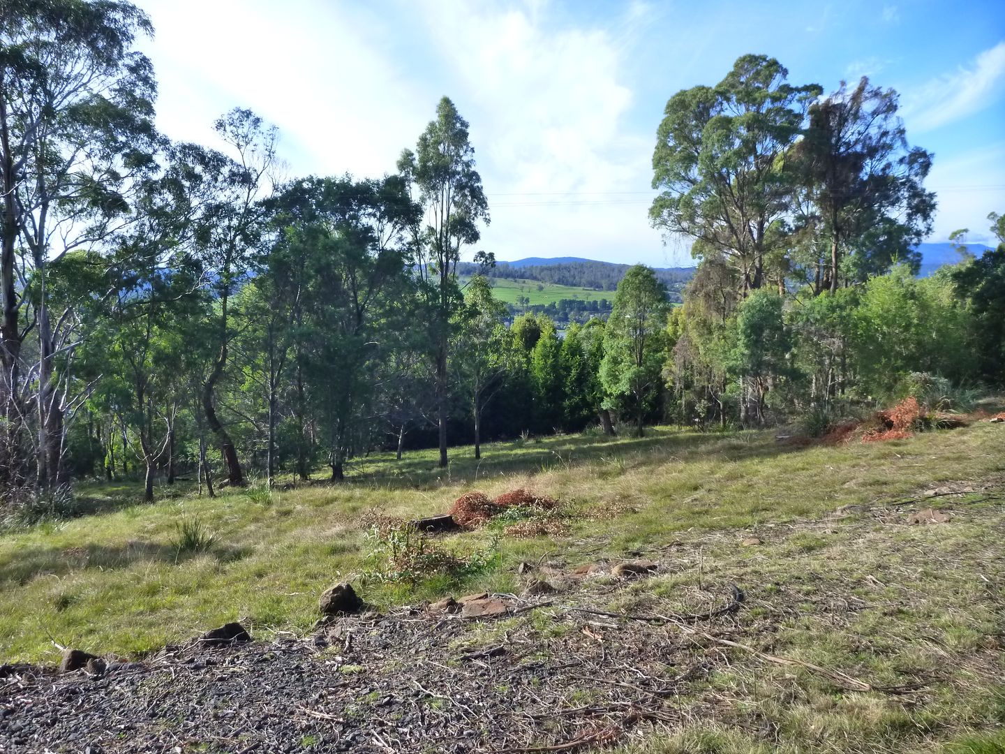 13 Bradys Lookout Road, Rosevears TAS 7277, Image 2