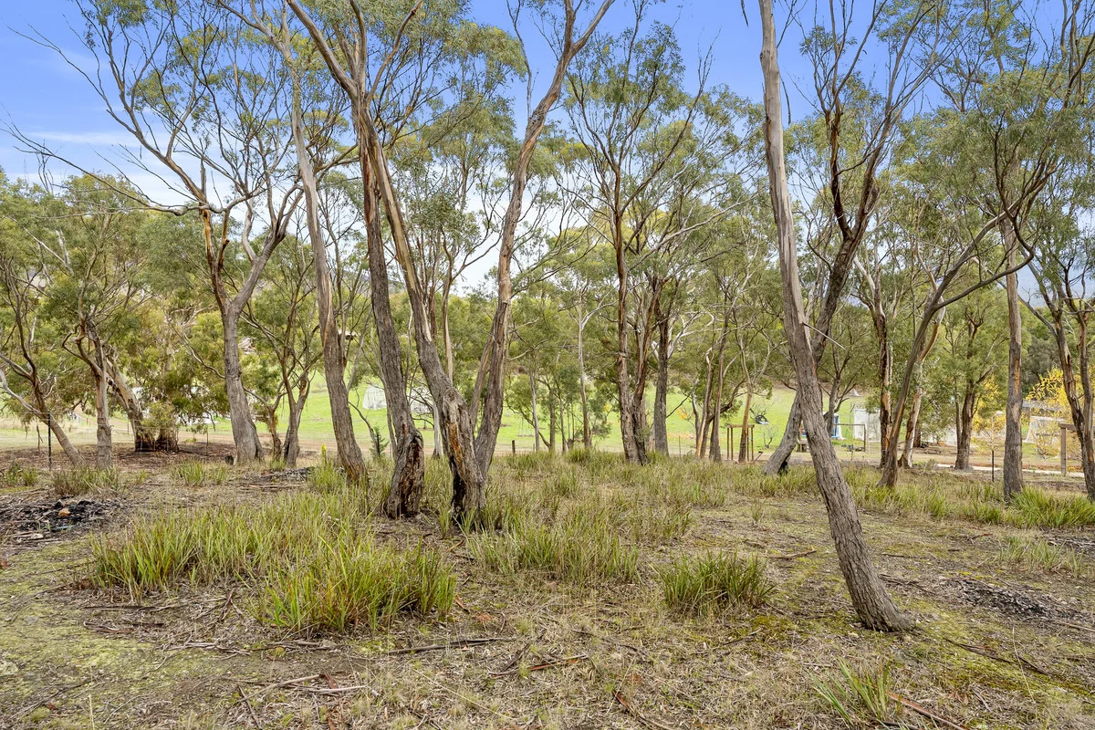 Image 15