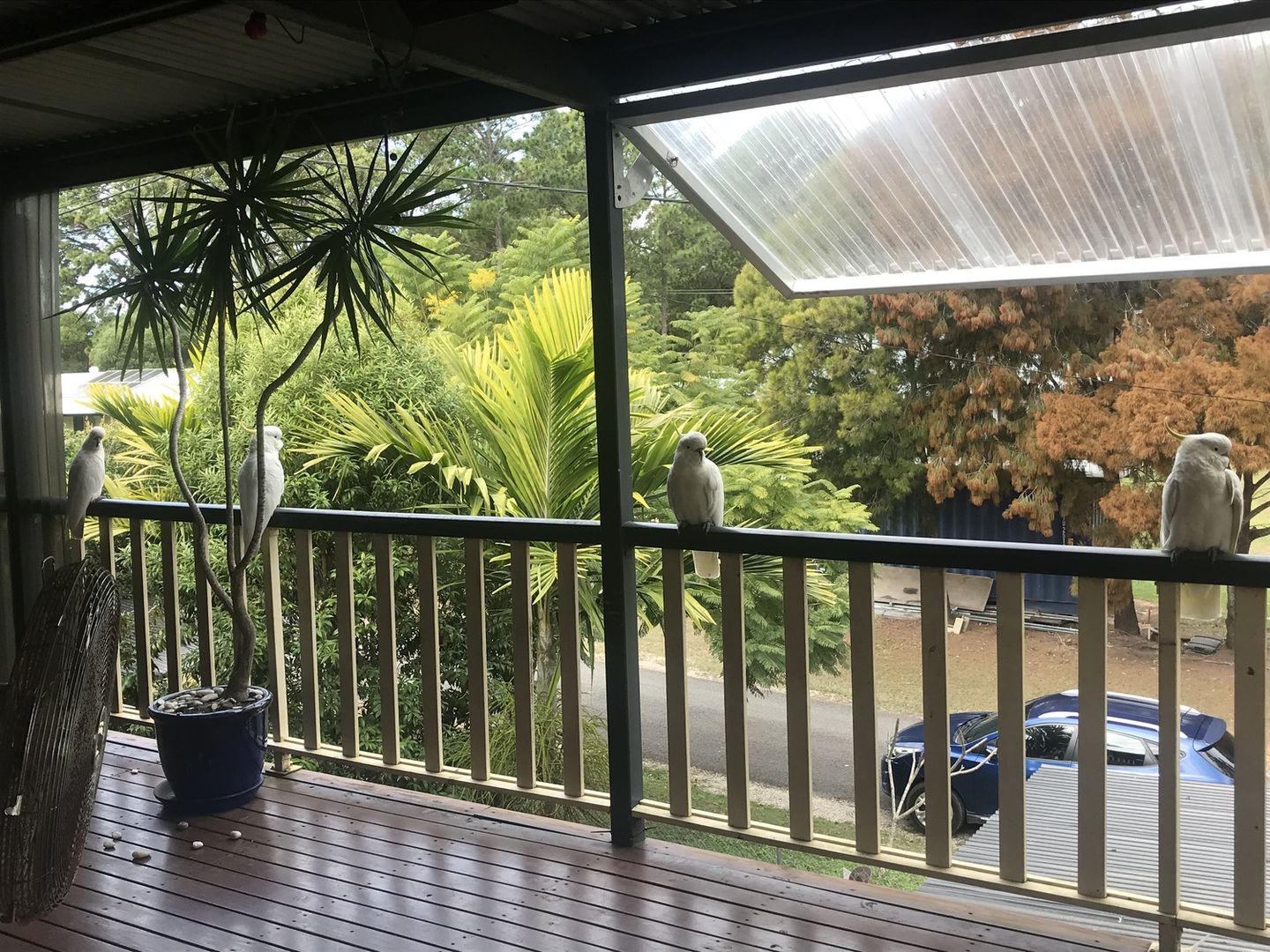 7 Sentosa Terrace, Macleay Island QLD 4184, Image 2