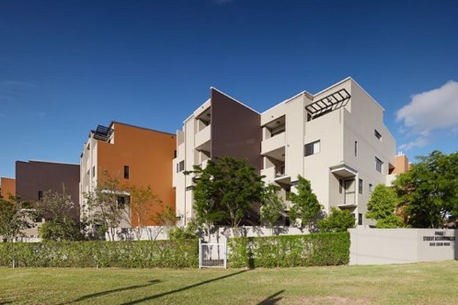 31 1 Bedroom Apartments For Rent In Upper Mount Gravatt Qld 4122 Domain
