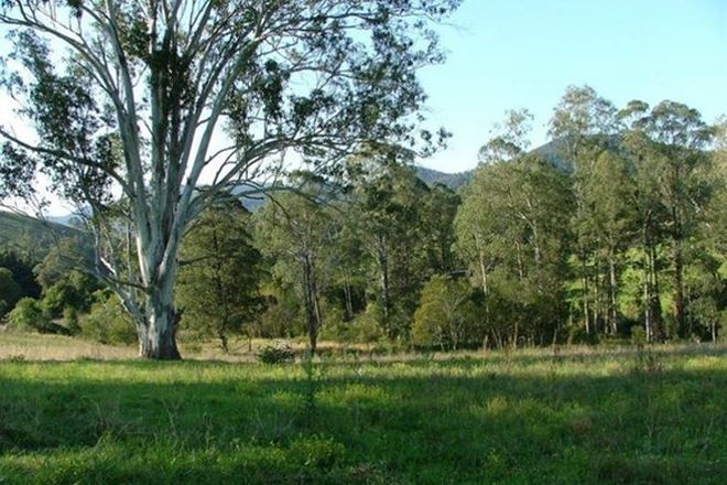 Picture of 299 Callaghans Creek Road, BUNDOOK NSW 2422