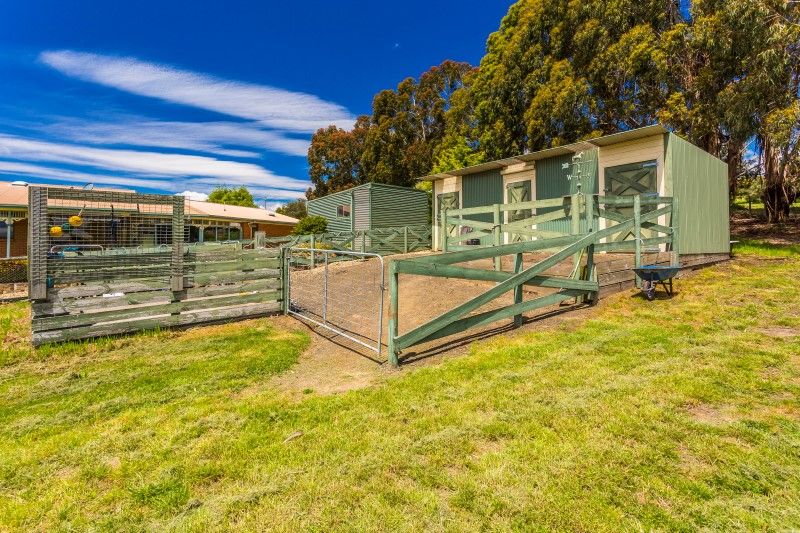 259 Relbia Road, Relbia TAS 7258, Image 2