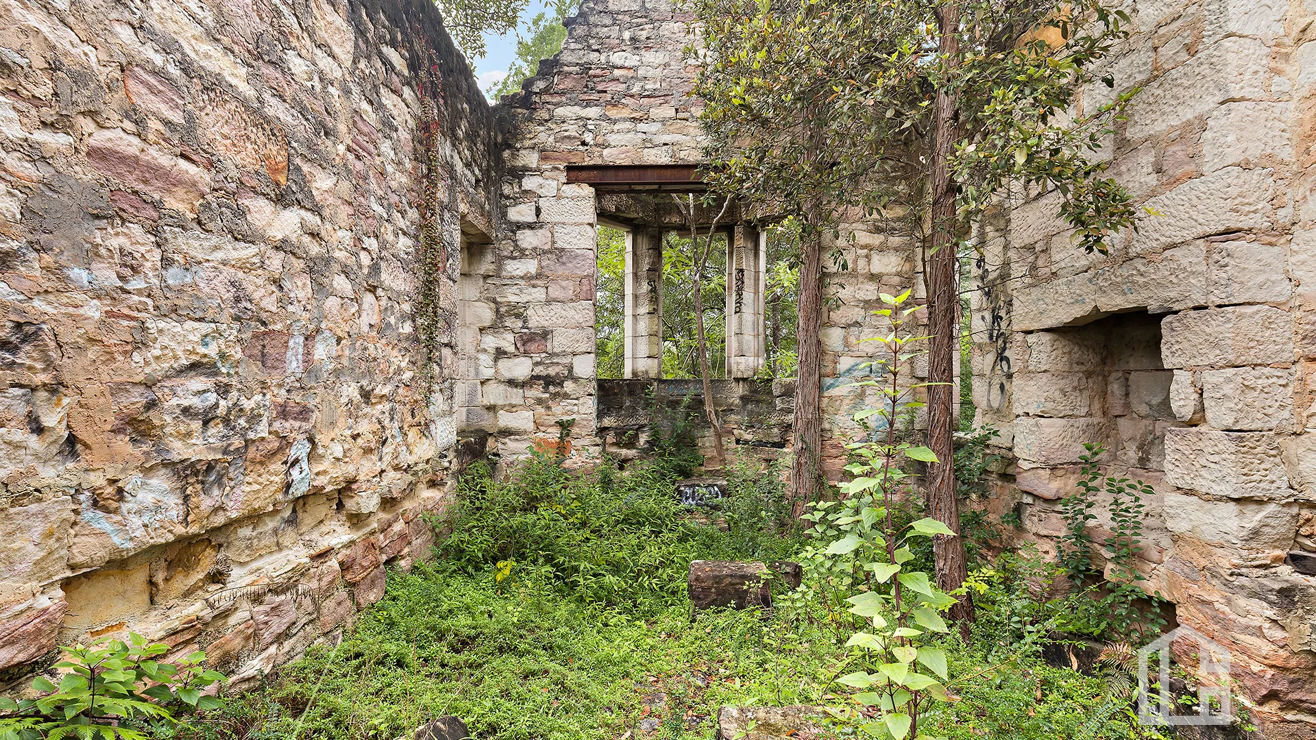 Image 11