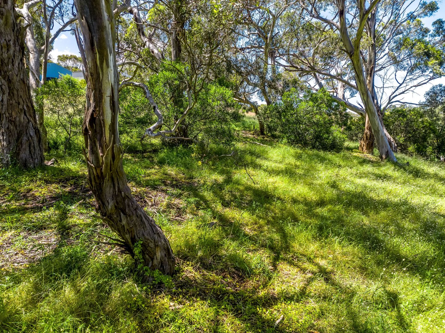 Lot  2 Henderson Road, Victor Harbor SA 5211, Image 2