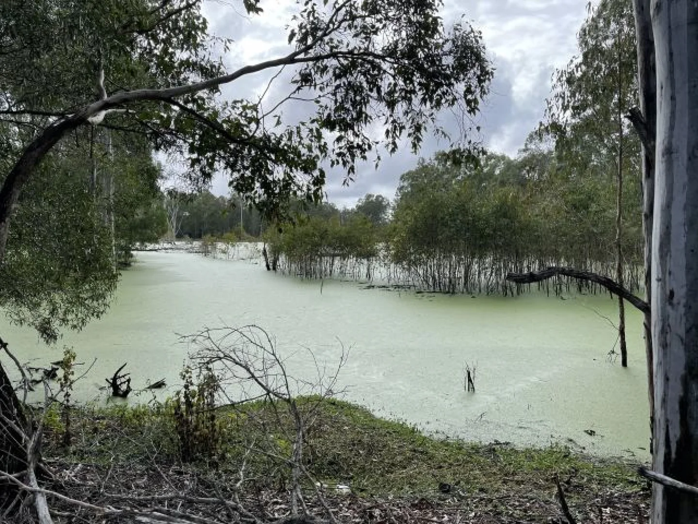 Image 26