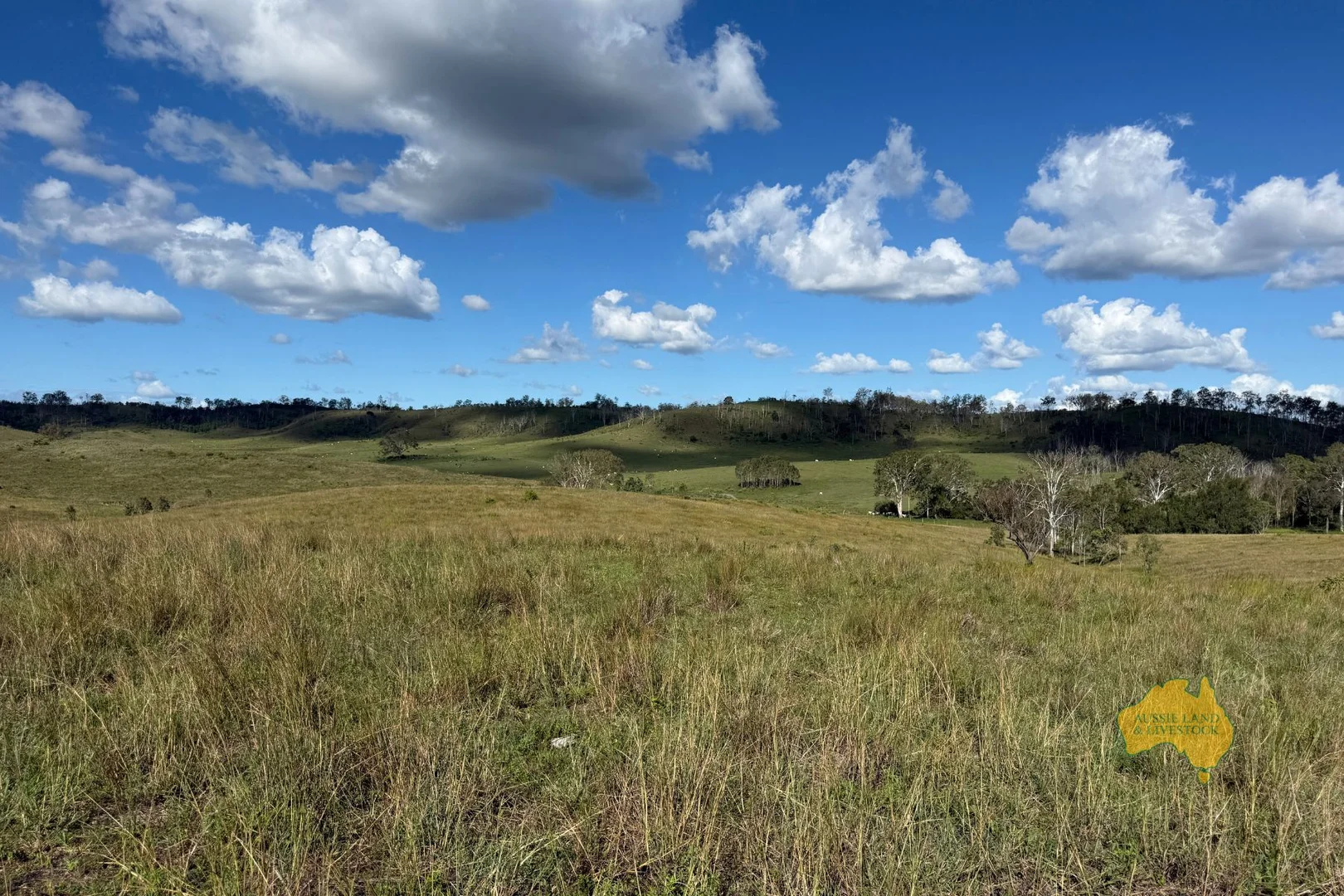 Additional image 23 of 527 KILLERS ROAD, New Moonta QLD 4671