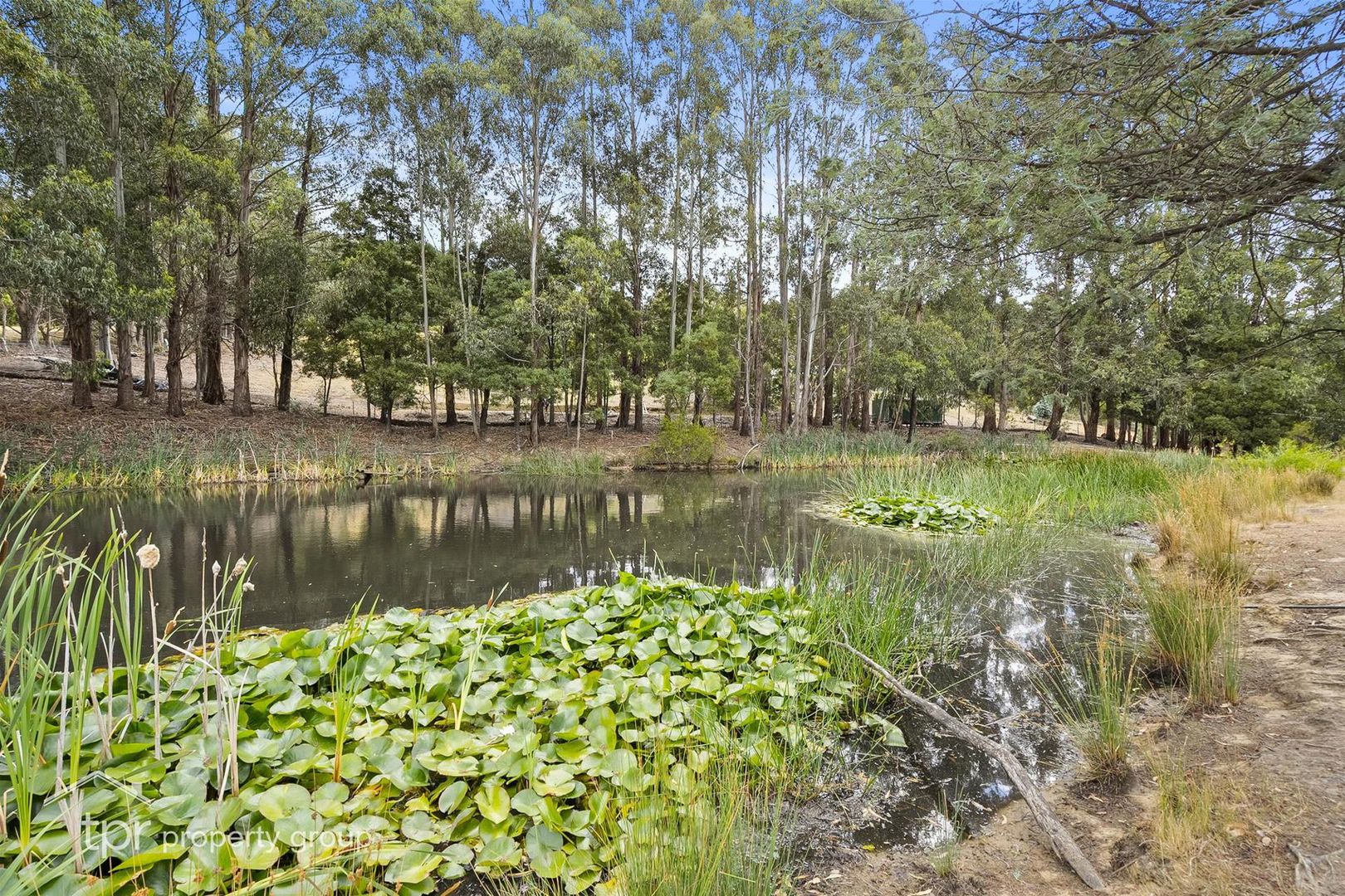 129 Fyfes Road, Mountain River TAS 7109 House for Sale Domain