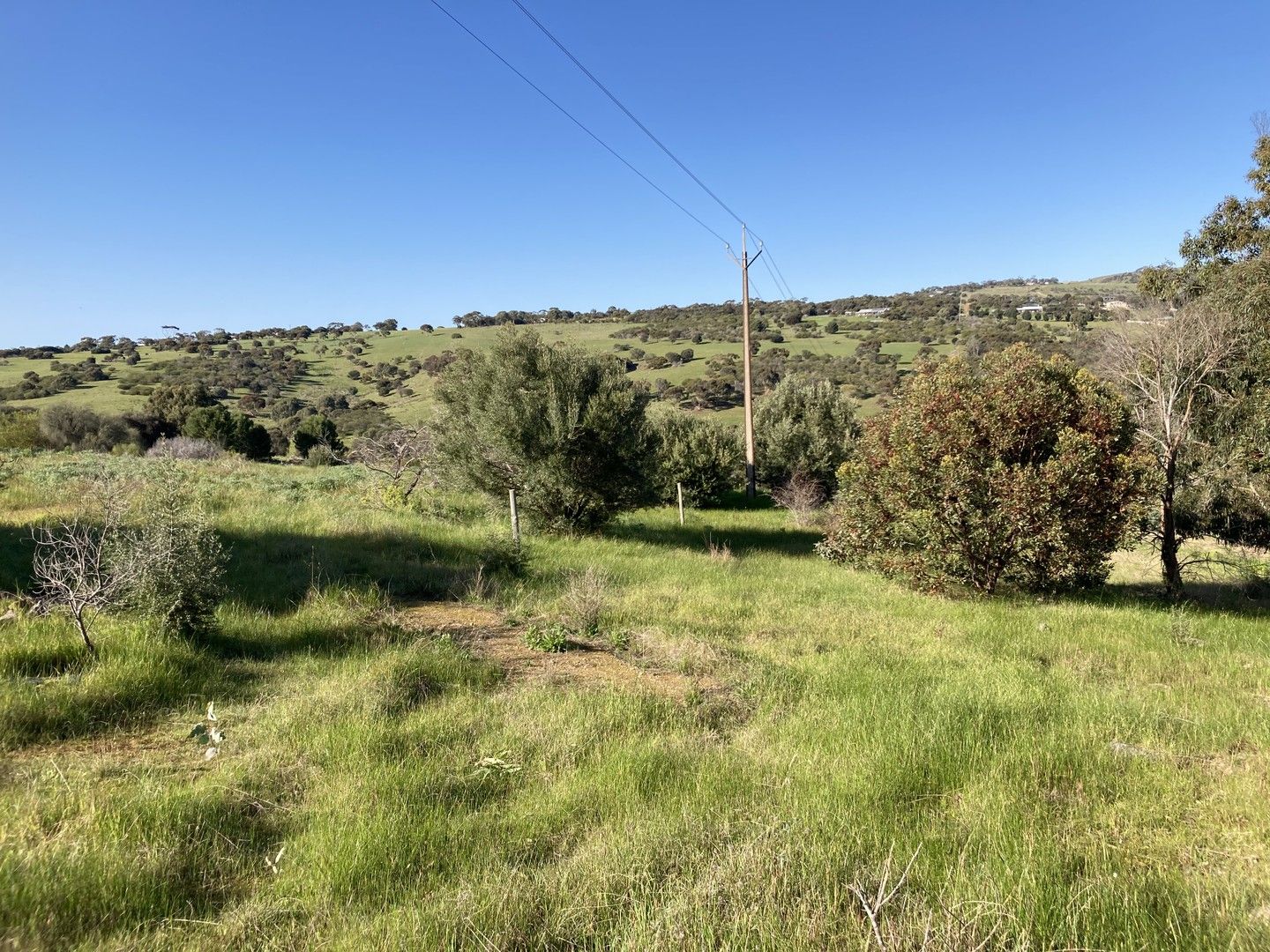 Lot 201 Stinky Creek Road, Tiatukia SA 5607, Image 0