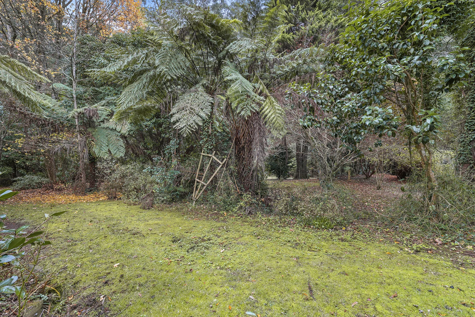 Image 15