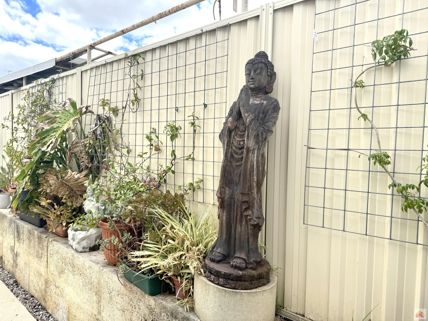 Image 40