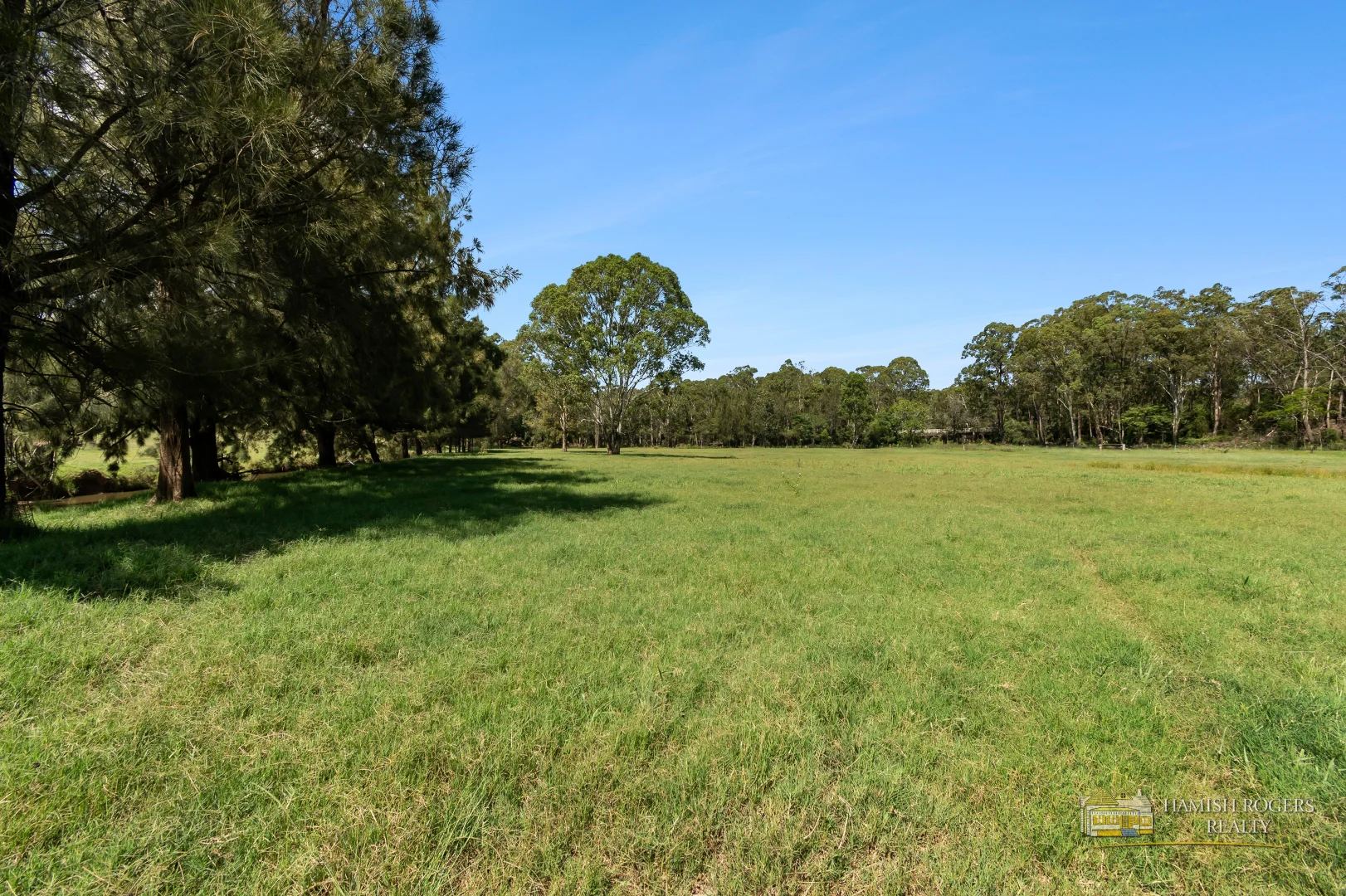 Image 13