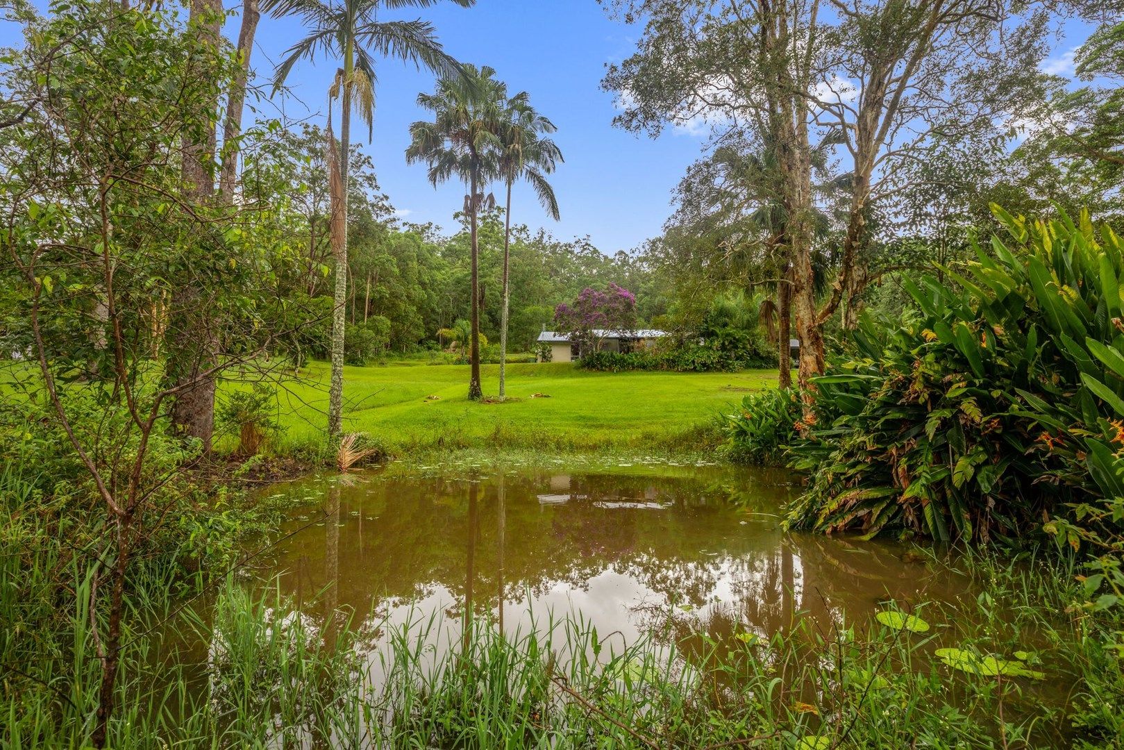 407 Connection Road, Mooloolah Valley QLD 4553, Image 0