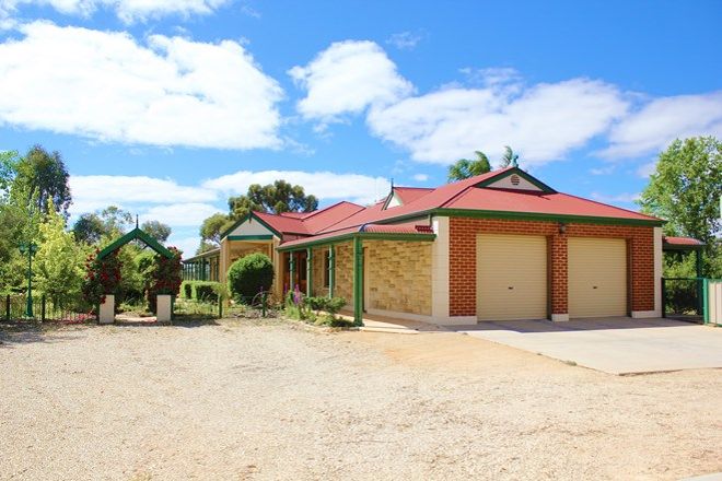 Picture of 396 Anderson Rd, LOXTON NORTH SA 5333