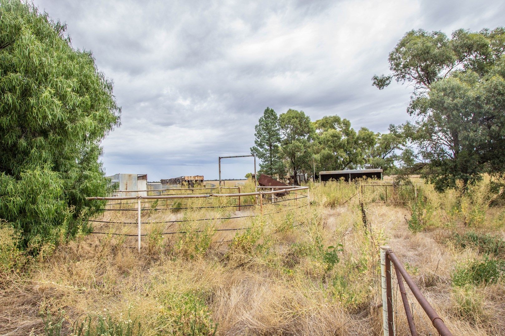 675 Johns Road, Barellan NSW 2665, Image 0