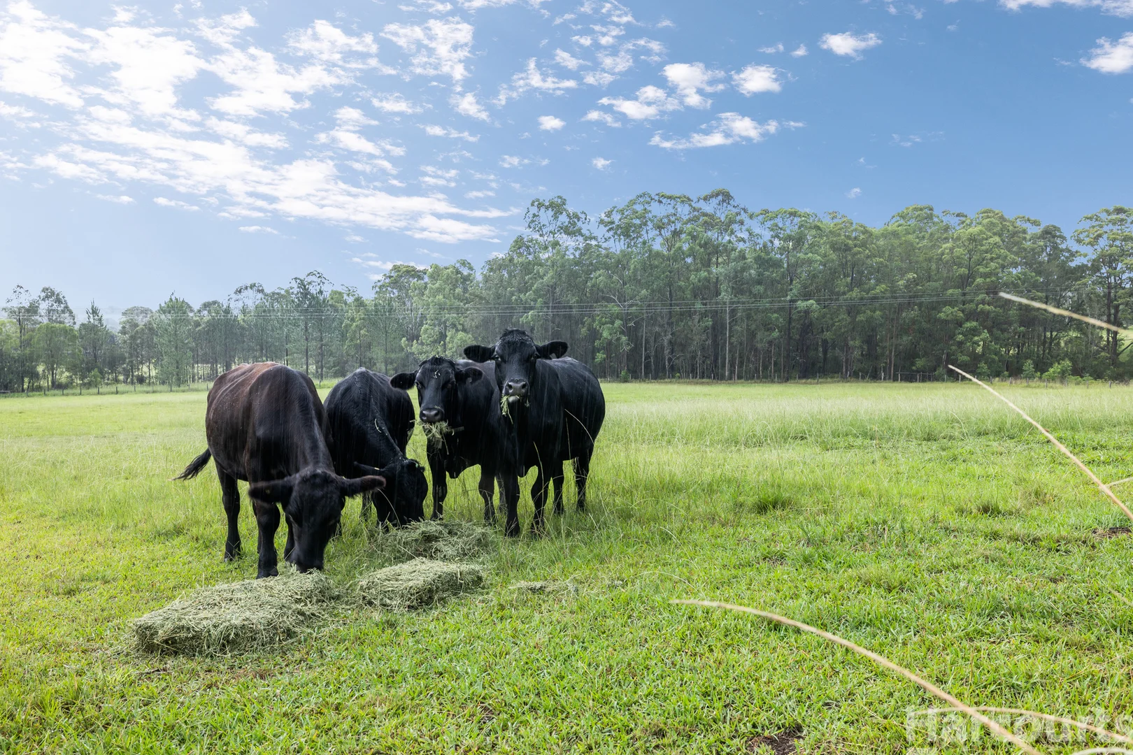 Additional image 28 of 5 Dondingalong Road, Dondingalong NSW 2440