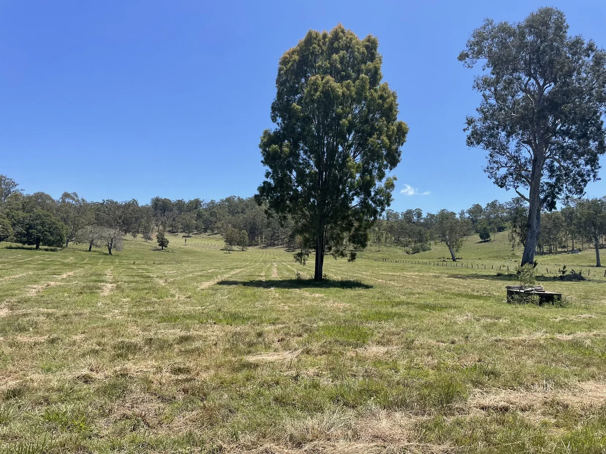 Image 13