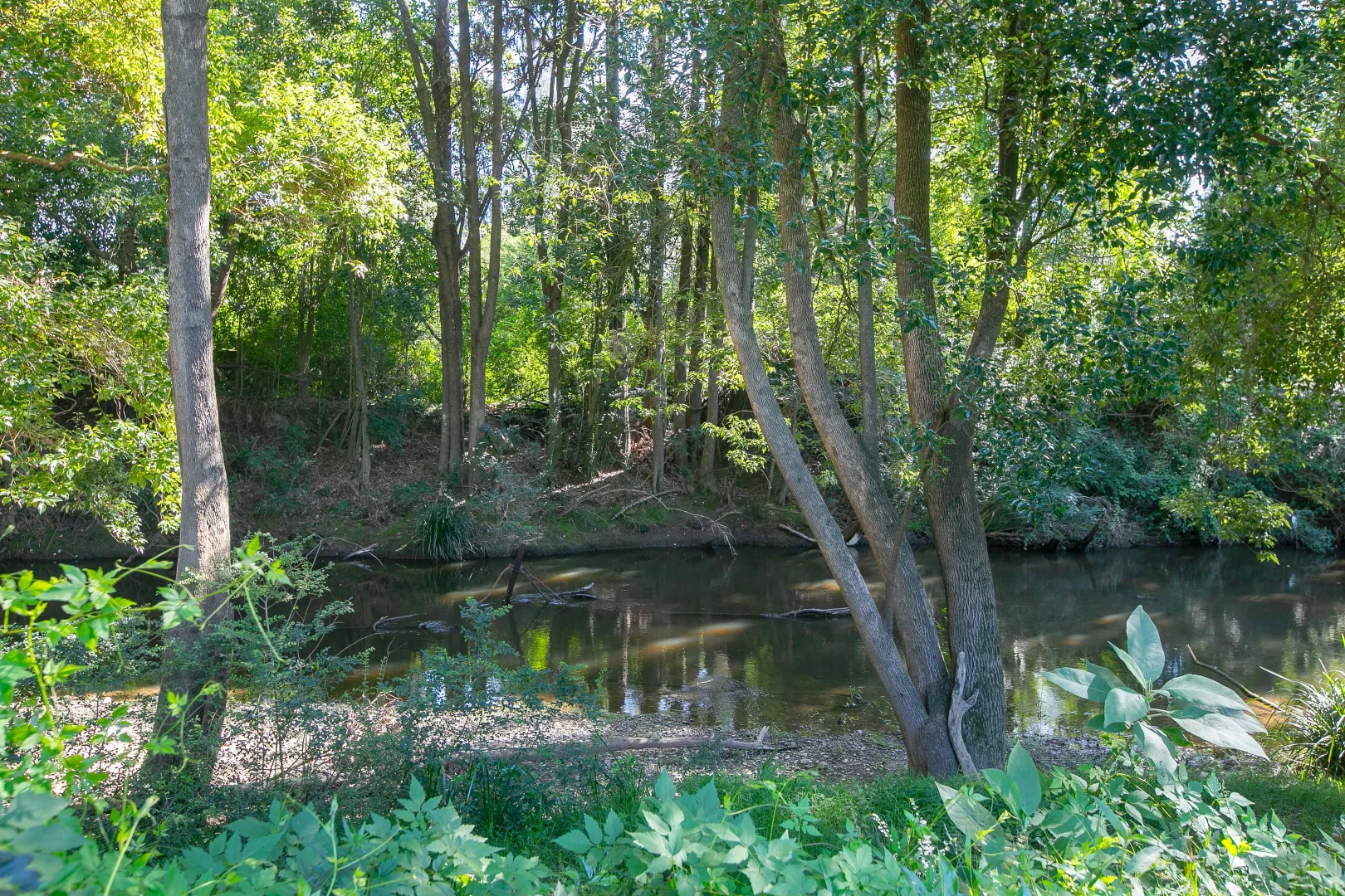 Additional image 19 of 1 Barrington Street, Gloucester NSW 2422