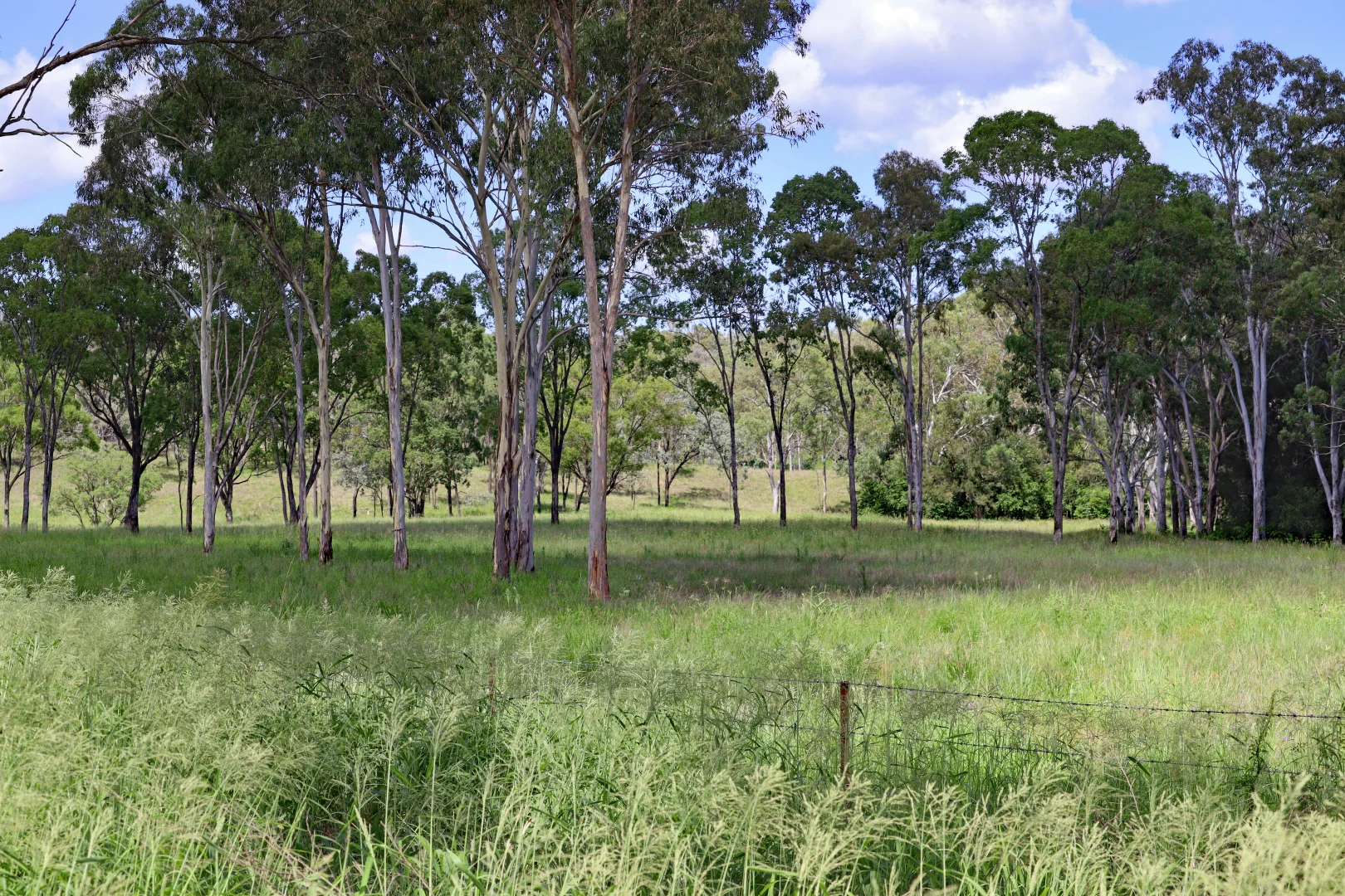 Additional image 31 of Splinter Creek QLD 4630