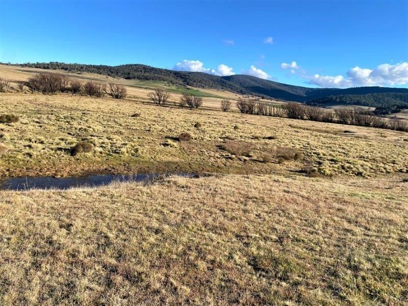 Lot 177 Eucumbene Road, Nimmo NSW 2628, Image 2