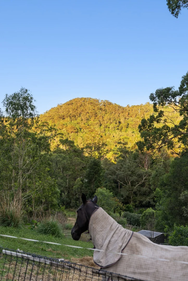 Additional image 9 of 4 Coonardoo Court, Wongawallan QLD 4210