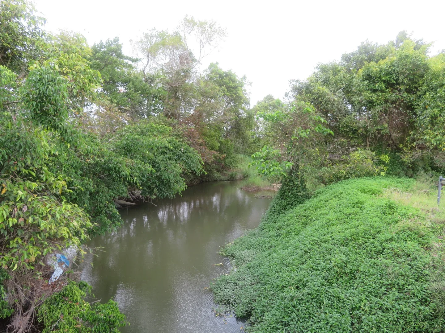 Additional image 14 of 85 Gundah Singh Road, Innisfail QLD 4860